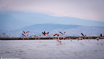 Doğa, kültür ve lezzet tutkunları yarıyıl tatilinde bu turlarda buluşacak