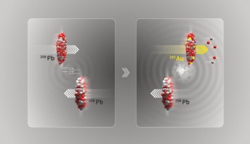 DSÖ’den Nipah Virüsü için acil çağrı: Ölüm oranı yüzde 75’e kadar çıkıyor