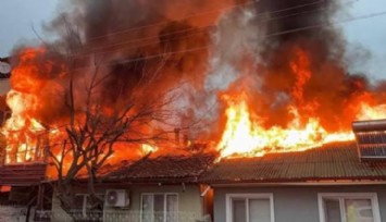 Kediler üşümesin diye yaktıkları ateş evi kül ett