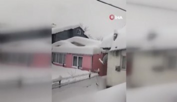 Kedilerin karda yürümeye çalıştığı anlar renkli görüntüler oluşturdu