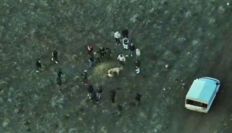 Köpek dövüştüren şahıslara jandarmadan dronlu baskın