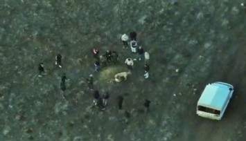 Köpek dövüştüren şahıslara jandarmadan dronlu baskın