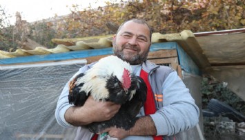 Mermer fabrikasında farklı bir üretim: Egzotik tavuk yetiştiriciliği