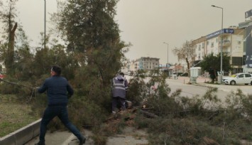 Şiddetli rüzgar Antalya’yı vurdu: Elektrik telleri koptu, hayat durma noktasına geldi