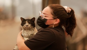 Şili’de orman yangınları can aldı: 18 ölü binlerce tahliye