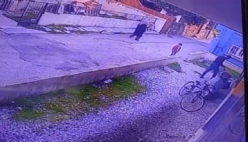 Yunusemre’de köpek vahşeti: Çocukların gözü önünde öldürüldü