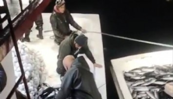 5 bin palamut tekneye sığmadı, yardıma başka tekne geldi