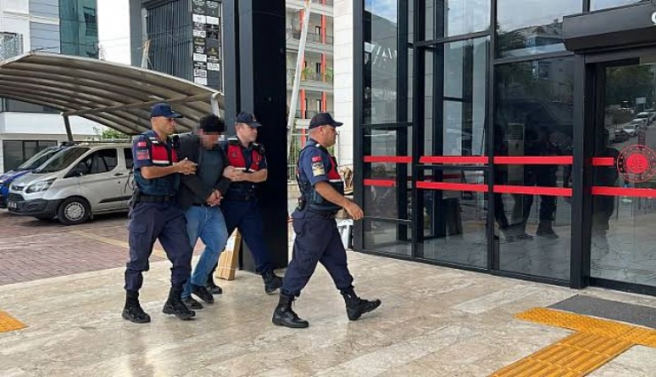Alanya’da kuşlara vahşet: Görüntüleri sosyal medyada paylaştı, gözaltına alındı
