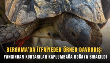 Bergama’da itfaiyeden örnek davranış: Yangından kurtarılan kaplumbağa doğaya bırakıldı