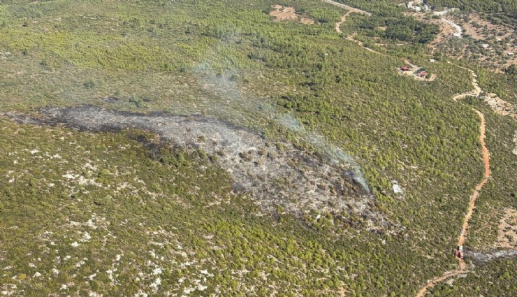 Bodrum’daki orman yangını kontrol altında