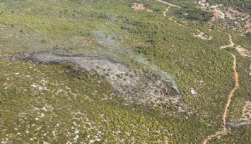 Bodrum’daki orman yangını kontrol altında