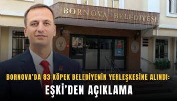 Bornova’da 83 köpek belediyenin yerleşkesine alındı: Eşki’den açıklama