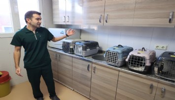 Buca Belediyesi’nden sahipli hayvanlara çip ve kısırlaştırma iddialarına yanıt