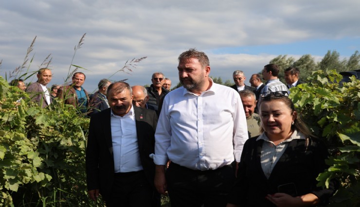 CHP’den üzüm üreticisi için 150 lira çağrısı