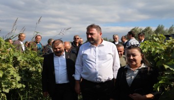 CHP’den üzüm üreticisi için 150 lira çağrısı