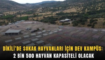 Dikili’de sokak hayvanları için dev kampüs: 2 bin 500 hayvan kapasiteli olacak