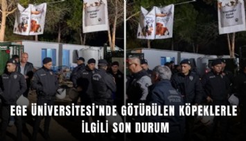 Ege Üniversitesi’nde toplatılan köpeklerle ilgili son durum