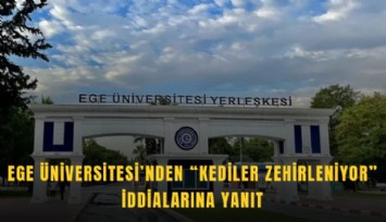 Ege Üniversitesi’nden kediler zehirleniyor iddialarına yanıt