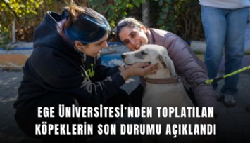 Ege Üniversitesi’nden toplatılan köpeklerin son durumu açıklandı