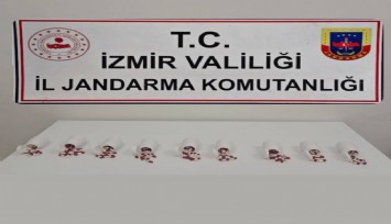 İzmir'de jandarmadan uyuşturucu operasyonu: 2 tutuklama