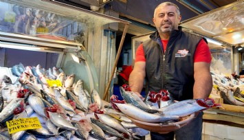 İzmir’de palamut bolluğu: Tanesi 100 liradan satılıyor