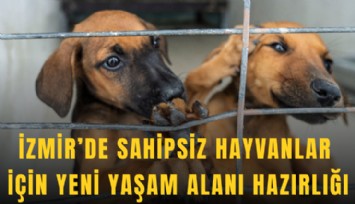 İzmir’de sahipsiz hayvanlar için yeni yaşam alanı hazırlığı