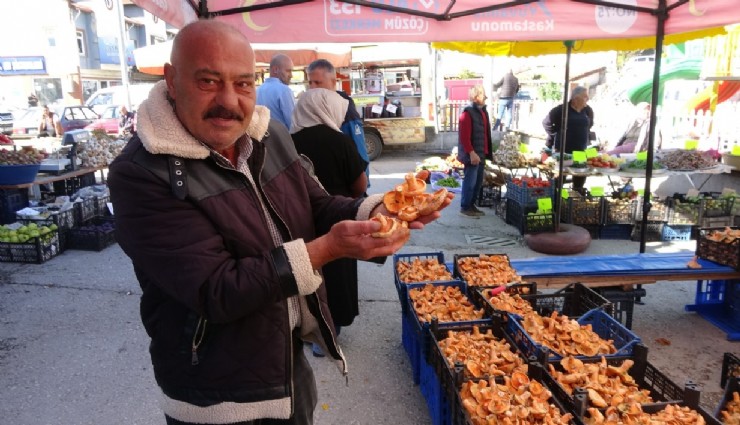 Karadeniz’de mantar alarmı: Bir haftada 40’tan fazla kişi zehirlendi