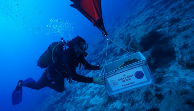 Kekova’da 4 bin 700 yıllık batıkta tarih gün yüzüne çıktı