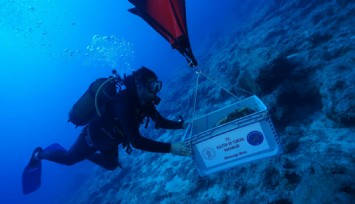 Kekova’da 4 bin 700 yıllık batıkta tarih gün yüzüne çıktı