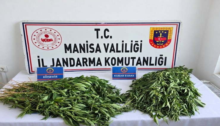 Manisa'da narkotik operasyonunda 3 kişi tutuklandı