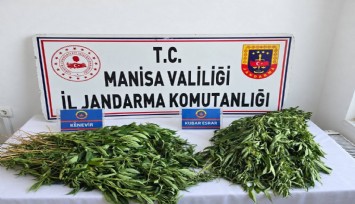 Manisa'da narkotik operasyonunda 3 kişi tutuklandı