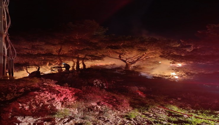 Bodrum'da ormanlık alanda yangın