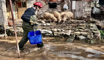 Büyükşehir ekipleri tüm canlılar için aynı özveriyle çalışıyor