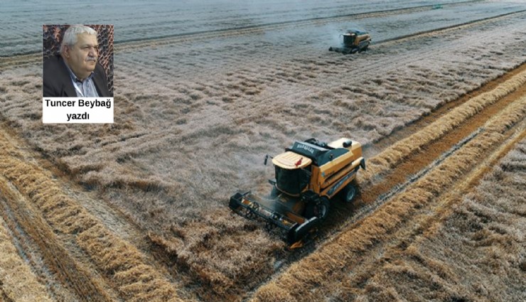 Dünyanın geleceği tarım