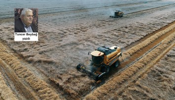 Dünyanın geleceği tarım