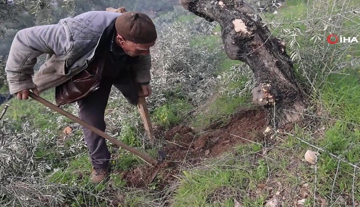 Film sahnesi değil gerçek: Azmiyle örnek oluyor