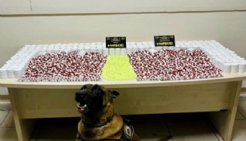 İzmir'den Gürcistan'a uyuşturucu sevkiyatı Artvin polisine takıldı