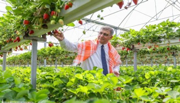 İzmir’den sofrada adalet hamlesi