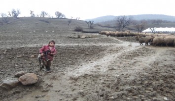 Kendisi küçük yüreği büyük: Minik Zeynep’ten yeni doğan kuzuya şefkat eli