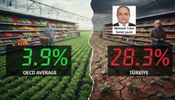 Mutfaktaki yangın: Küresel istikrar, yerel yalnızlık