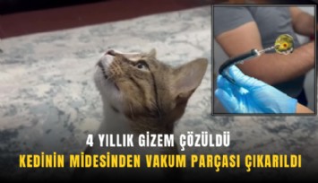4 yıllık gizem çözüldü: Kedinin midesinden vakum parçası çıkarıldı