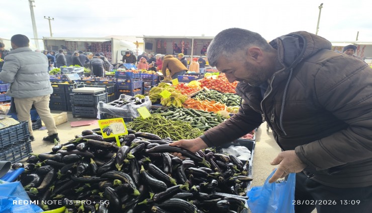 Antalya'daki olumsuz hava şartları patlıcanın tadını kaçırdı