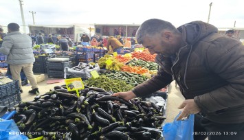 Antalya'daki olumsuz hava şartları patlıcanın tadını kaçırdı