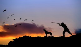 Av sezonu sona erdi: Ağustos ayına kadar av yasak