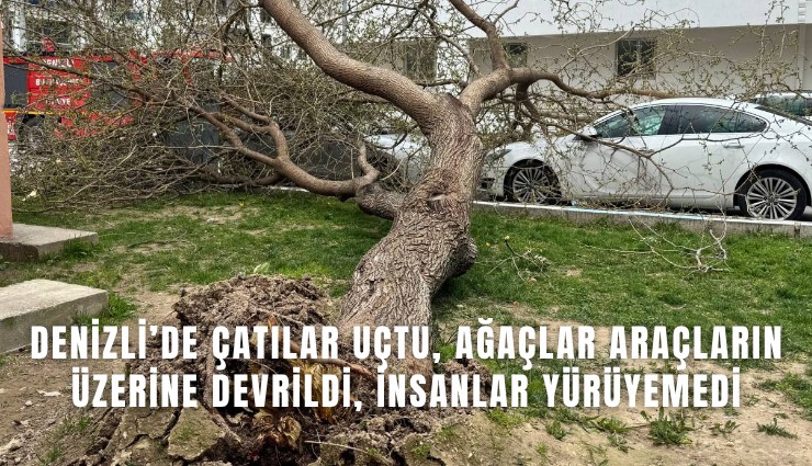 Denizli’de çatılar uçtu, ağaçlar araçların üzerine devrildi, insanlar yürüyemedi