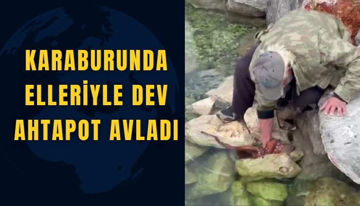 Karaburunda elleriyle dev ahtapot avladı
