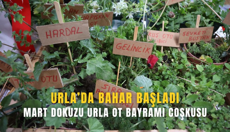 Urla’da bahar başladı: Mart dokuzu urla ot bayramı coşkusu