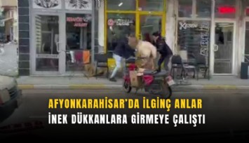 Afyonkarahisar’da ilginç anlar: İnek dükkanlara girmeye çalıştı