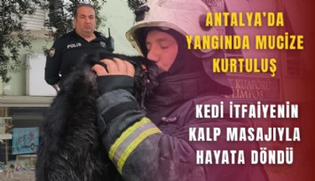 Antalya’da yangında mucize kurtuluş: Kedi itfaiyenin kalp masajıyla hayata döndü