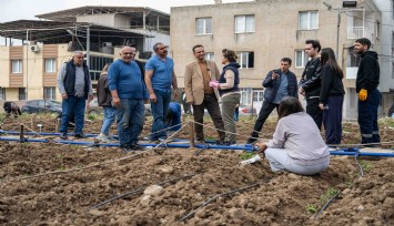 Bornova’da kent bostanlarında yaz sezonu başladı